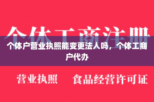 个体户营业执照能变更法人吗，个体工商户代办