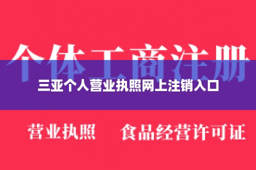 三亚个人营业执照网上注销入口