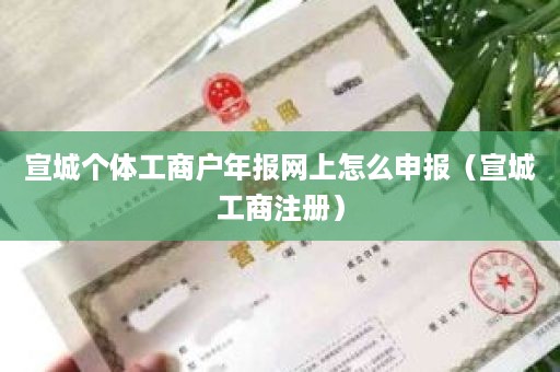 宣城个体工商户年报网上怎么申报（宣城工商注册）