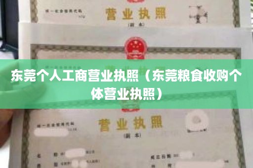 东莞个人工商营业执照（东莞粮食收购个体营业执照）