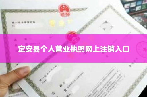 定安县个人营业执照网上注销入口