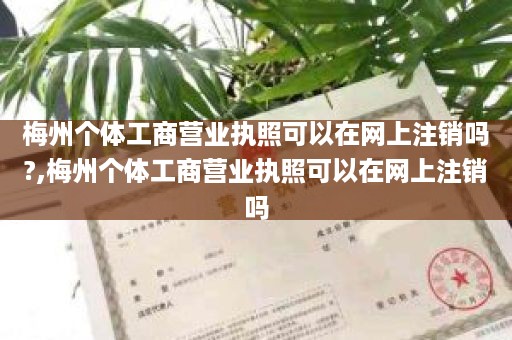 梅州个体工商营业执照可以在网上注销吗?,梅州个体工商营业执照可以在网上注销吗