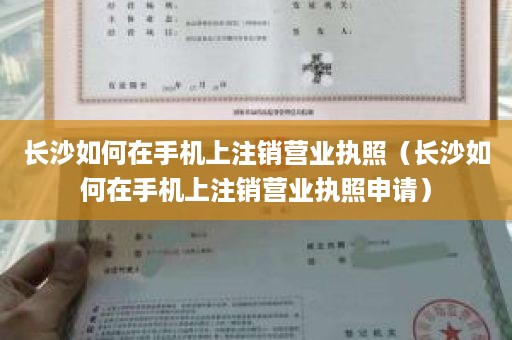 长沙如何在手机上注销营业执照（长沙如何在手机上注销营业执照申请）