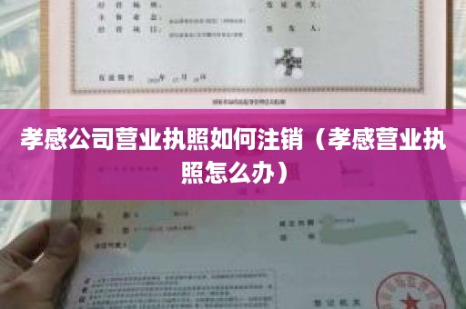 孝感公司营业执照如何注销（孝感营业执照怎么办）