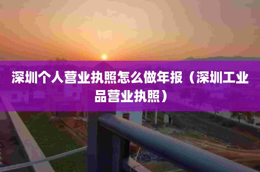 深圳个人营业执照怎么做年报（深圳工业品营业执照）