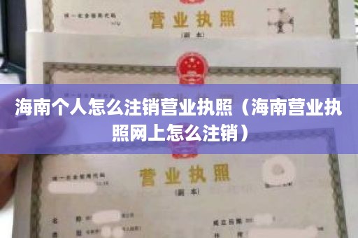 海南个人怎么注销营业执照（海南营业执照网上怎么注销）