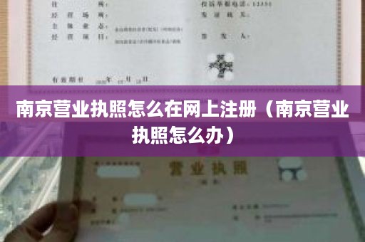 南京营业执照怎么在网上注册（南京营业执照怎么办）