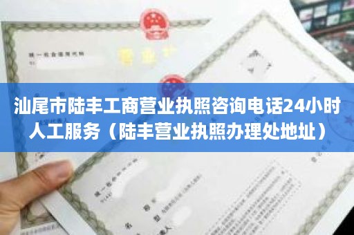 汕尾市陆丰工商营业执照咨询电话24小时人工服务（陆丰营业执照办理处地址）