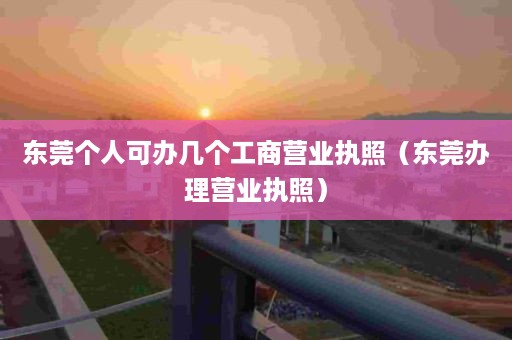 东莞个人可办几个工商营业执照（东莞办理营业执照）