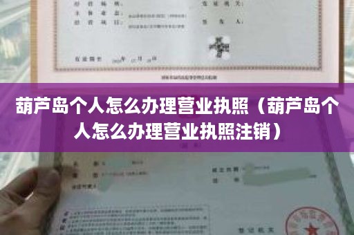 葫芦岛个人怎么办理营业执照（葫芦岛个人怎么办理营业执照注销）