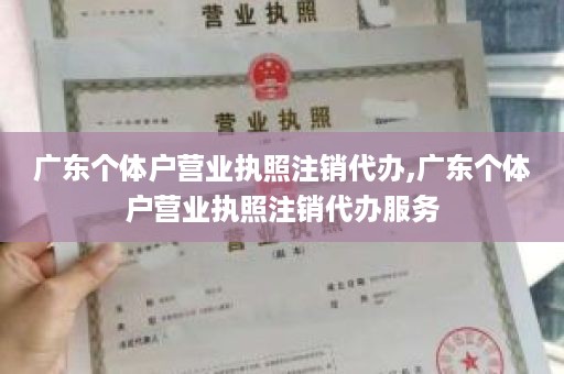 广东个体户营业执照注销代办,广东个体户营业执照注销代办服务