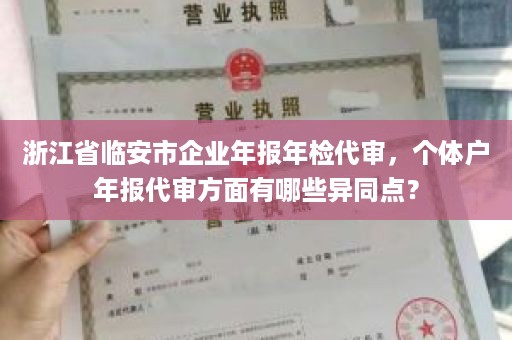 浙江省临安市企业年报年检代审，个体户年报代审方面有哪些异同点？