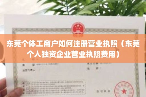 东莞个体工商户如何注册营业执照（东莞个人独资企业营业执照费用）