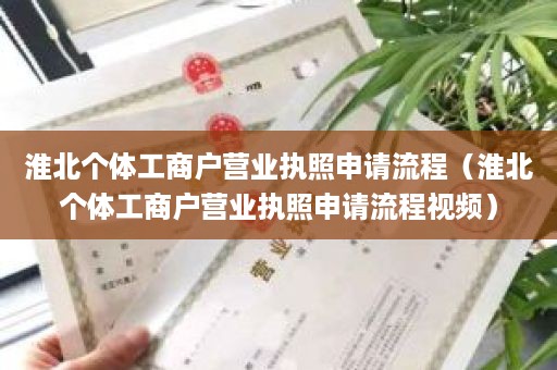 淮北个体工商户营业执照申请流程（淮北个体工商户营业执照申请流程视频）