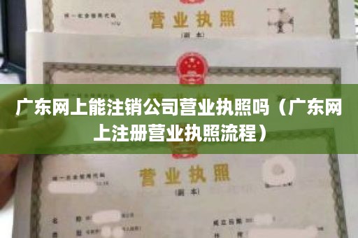 广东网上能注销公司营业执照吗（广东网上注册营业执照流程）