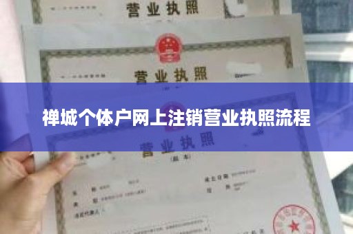 禅城个体户网上注销营业执照流程