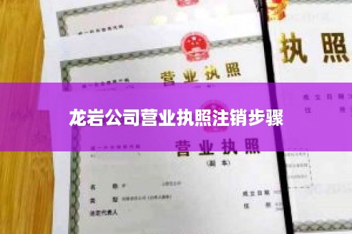 龙岩公司营业执照注销步骤