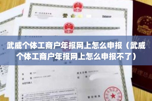 武威个体工商户年报网上怎么申报（武威个体工商户年报网上怎么申报不了）