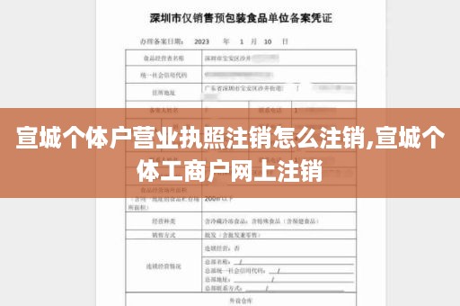 宣城个体户营业执照注销怎么注销,宣城个体工商户网上注销