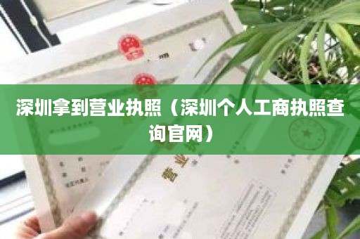 深圳拿到营业执照（深圳个人工商执照查询官网）