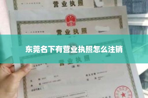 东莞名下有营业执照怎么注销