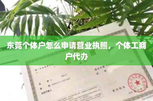 东莞个体户怎么申请营业执照，个体工商户代办