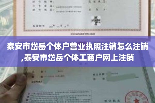 泰安市岱岳个体户营业执照注销怎么注销,泰安市岱岳个体工商户网上注销