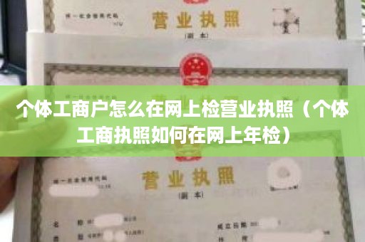 个体工商户怎么在网上检营业执照（个体工商执照如何在网上年检）