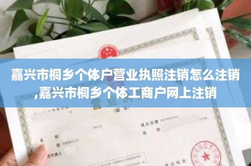 嘉兴市桐乡个体户营业执照注销怎么注销,嘉兴市桐乡个体工商户网上注销