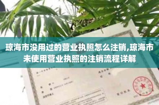 琼海市没用过的营业执照怎么注销,琼海市未使用营业执照的注销流程详解