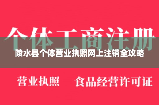 陵水县个体营业执照网上注销全攻略