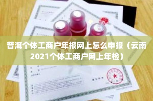 普洱个体工商户年报网上怎么申报（云南2021个体工商户网上年检）