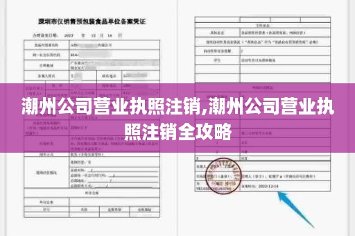 潮州公司营业执照注销,潮州公司营业执照注销全攻略