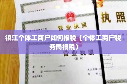 镇江个体工商户如何报税（个体工商户税务局报税）