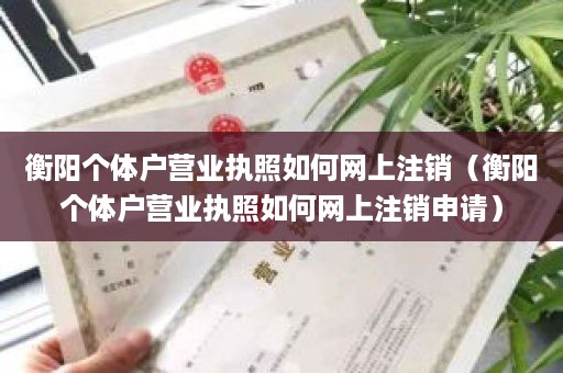 衡阳个体户营业执照如何网上注销（衡阳个体户营业执照如何网上注销申请）