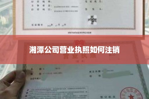 湘潭公司营业执照如何注销