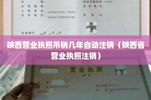 陕西营业执照吊销几年自动注销（陕西省营业执照注销）