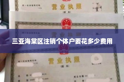 三亚海棠区注销个体户要花多少费用