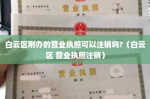 白云区刚办的营业执照可以注销吗?（白云区 营业执照注销）