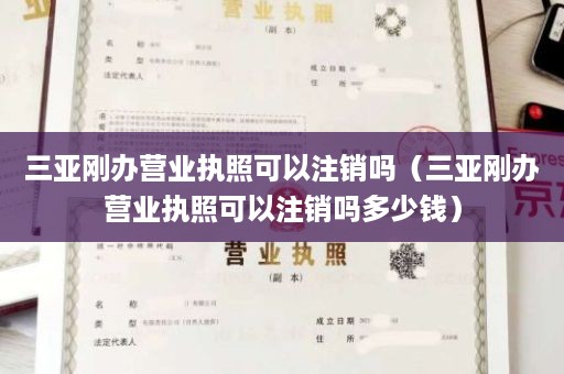 三亚刚办营业执照可以注销吗（三亚刚办营业执照可以注销吗多少钱）