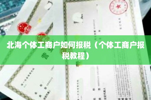 北海个体工商户如何报税（个体工商户报税教程）