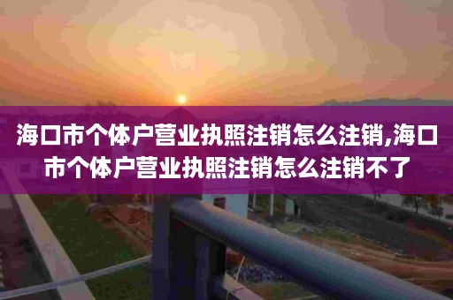 海口市个体户营业执照注销怎么注销,海口市个体户营业执照注销怎么注销不了