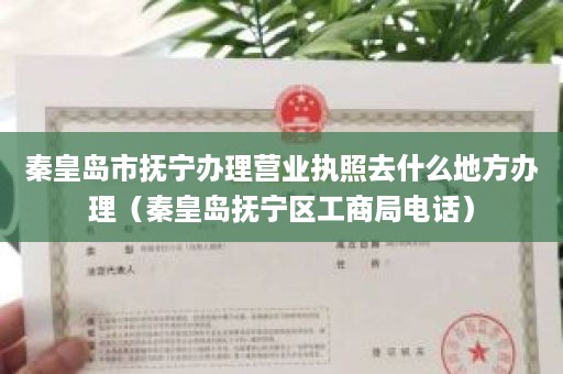 秦皇岛市抚宁办理营业执照去什么地方办理（秦皇岛抚宁区工商局电话）