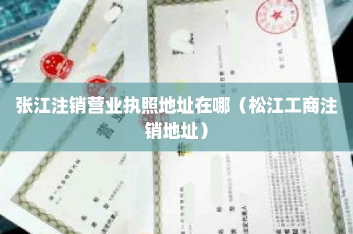 张江注销营业执照地址在哪（松江工商注销地址）