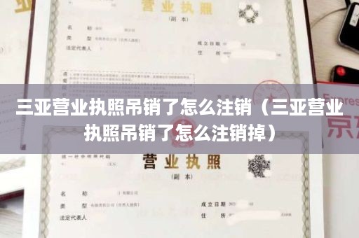 三亚营业执照吊销了怎么注销（三亚营业执照吊销了怎么注销掉）