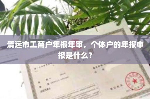 清远市工商户年报年审，个体户的年报申报是什么？