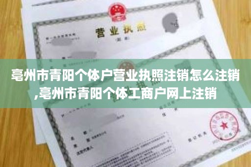 亳州市青阳个体户营业执照注销怎么注销,亳州市青阳个体工商户网上注销