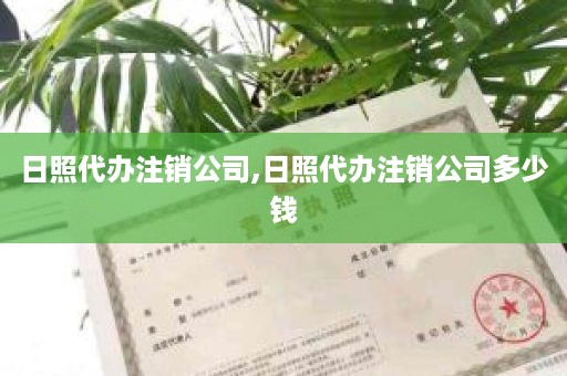 日照代办注销公司,日照代办注销公司多少钱