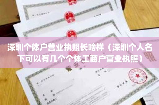 深圳个体户营业执照长啥样（深圳个人名下可以有几个个体工商户营业执照）