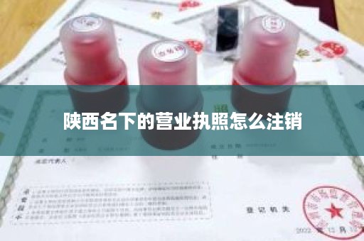 陕西名下的营业执照怎么注销